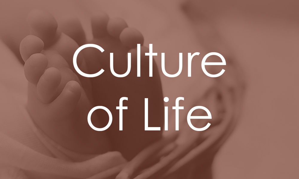 Culture of Life